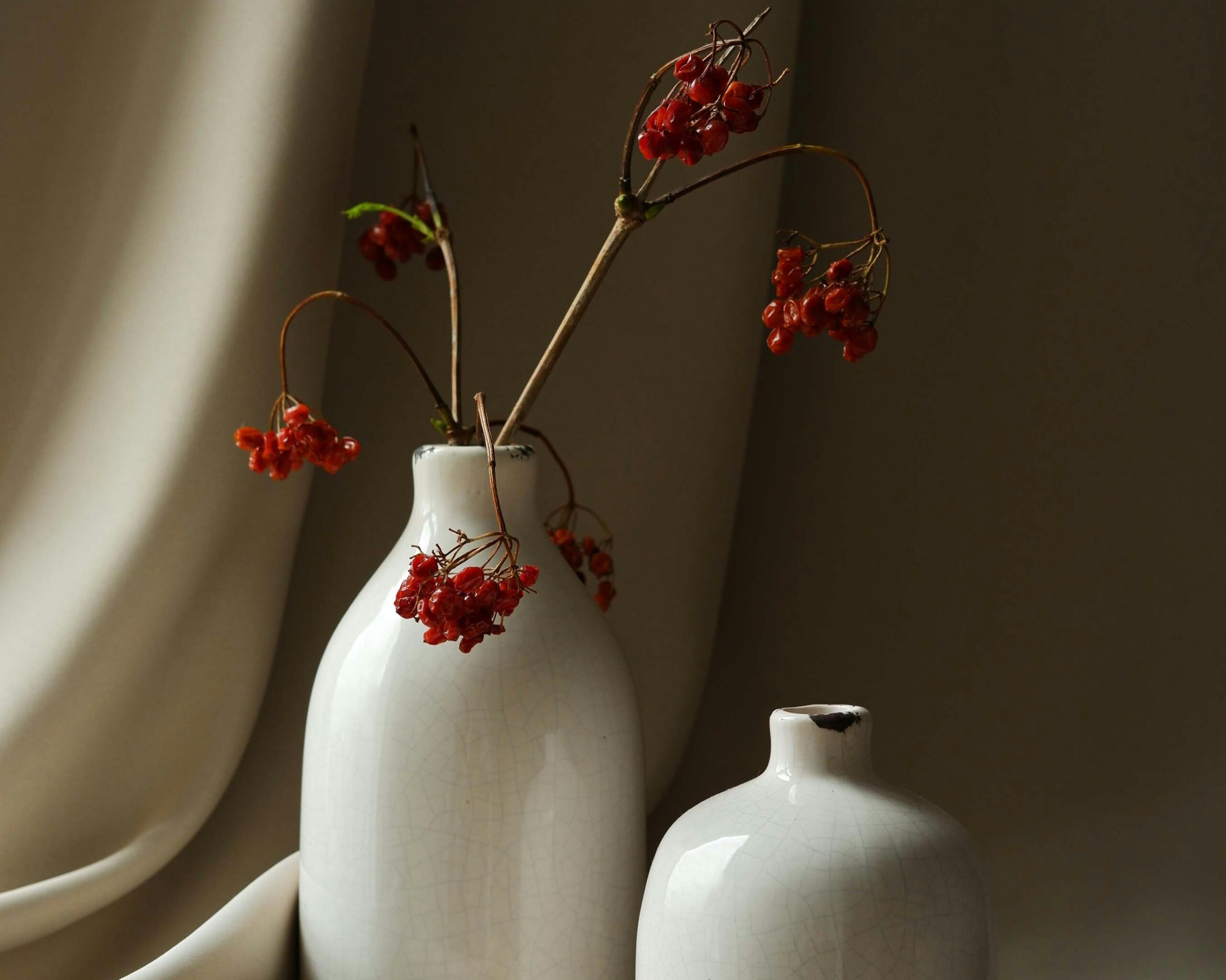 هذه هي الحياة