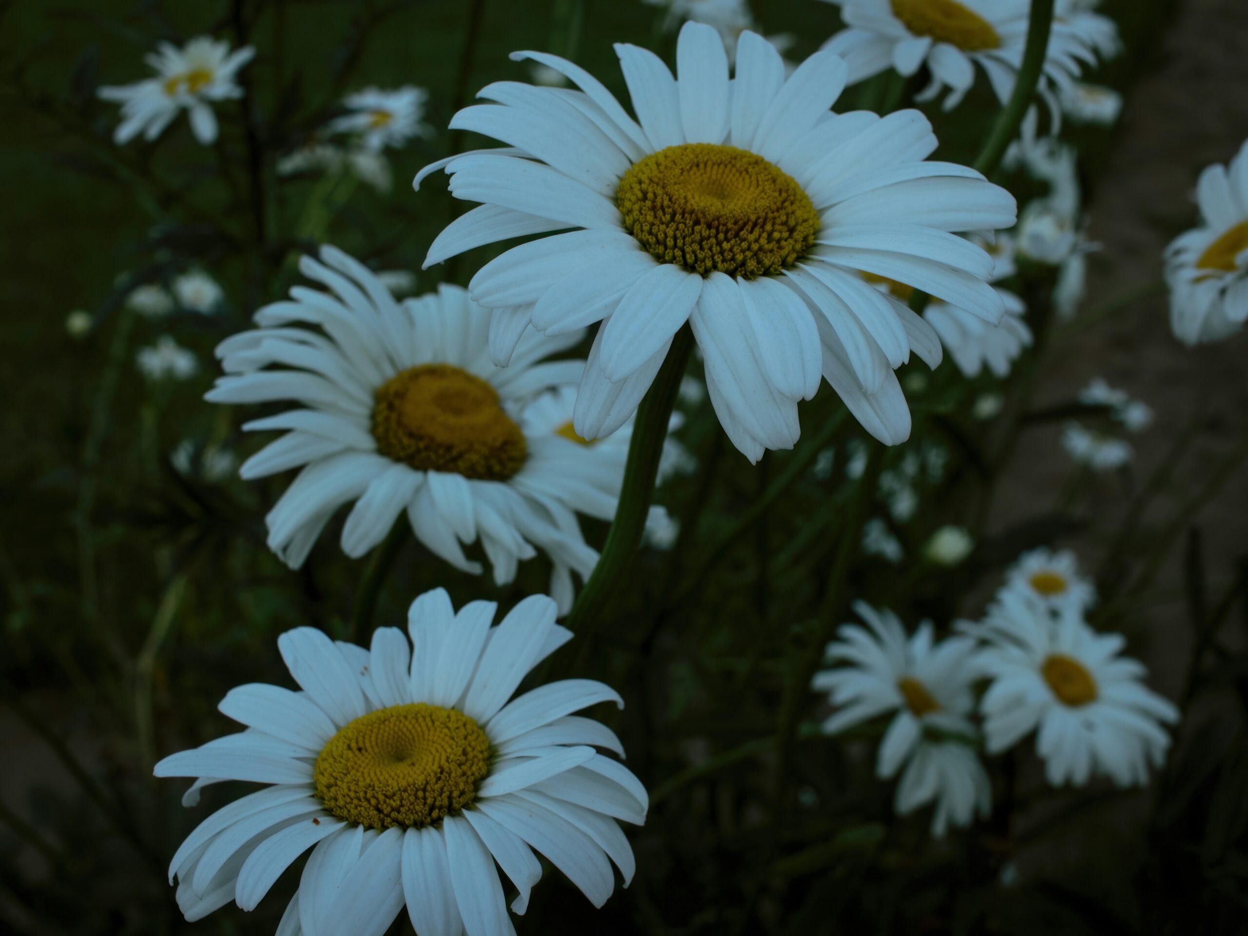 The Nightmare I Won’t Forget