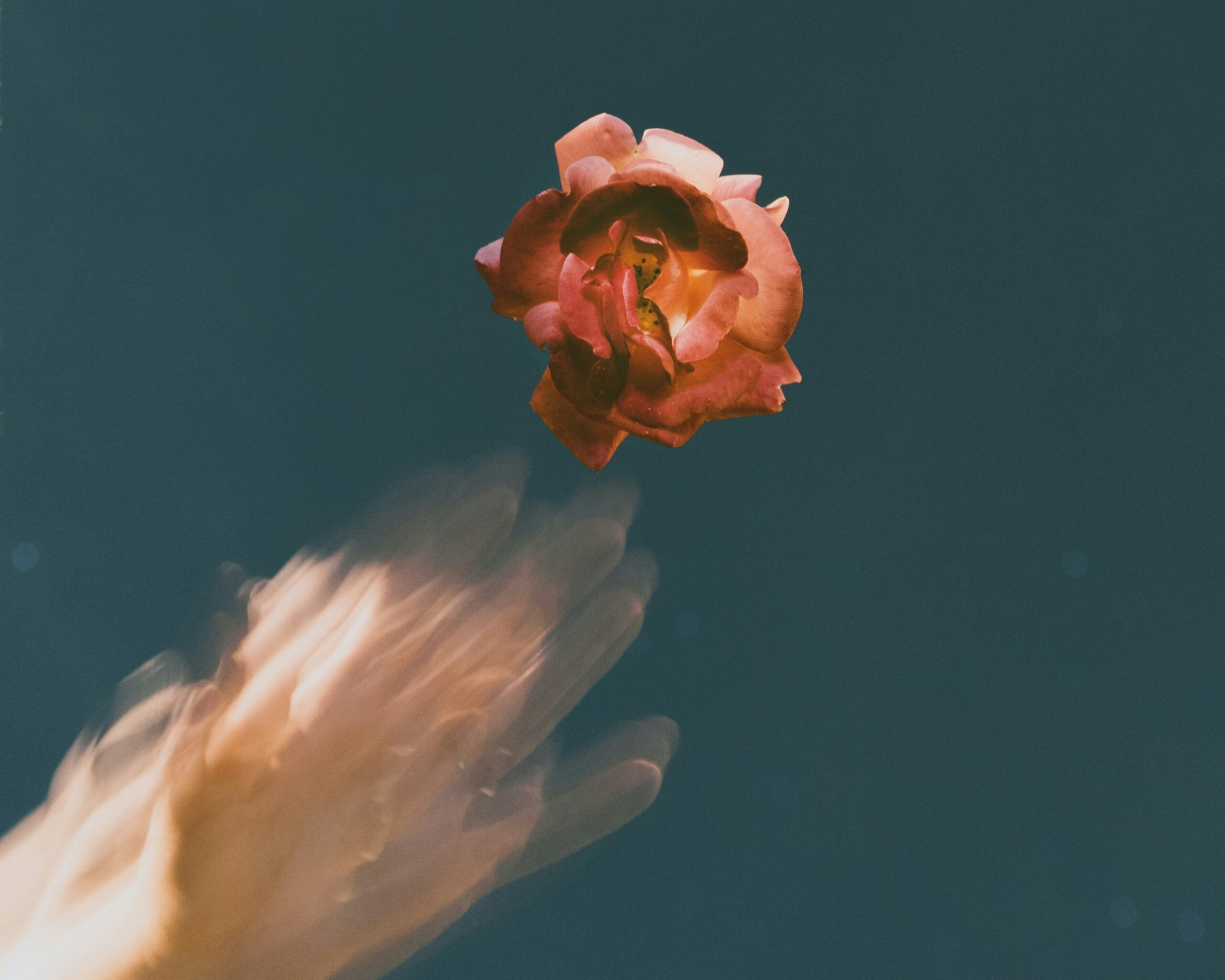 Too Late, Too Shallow