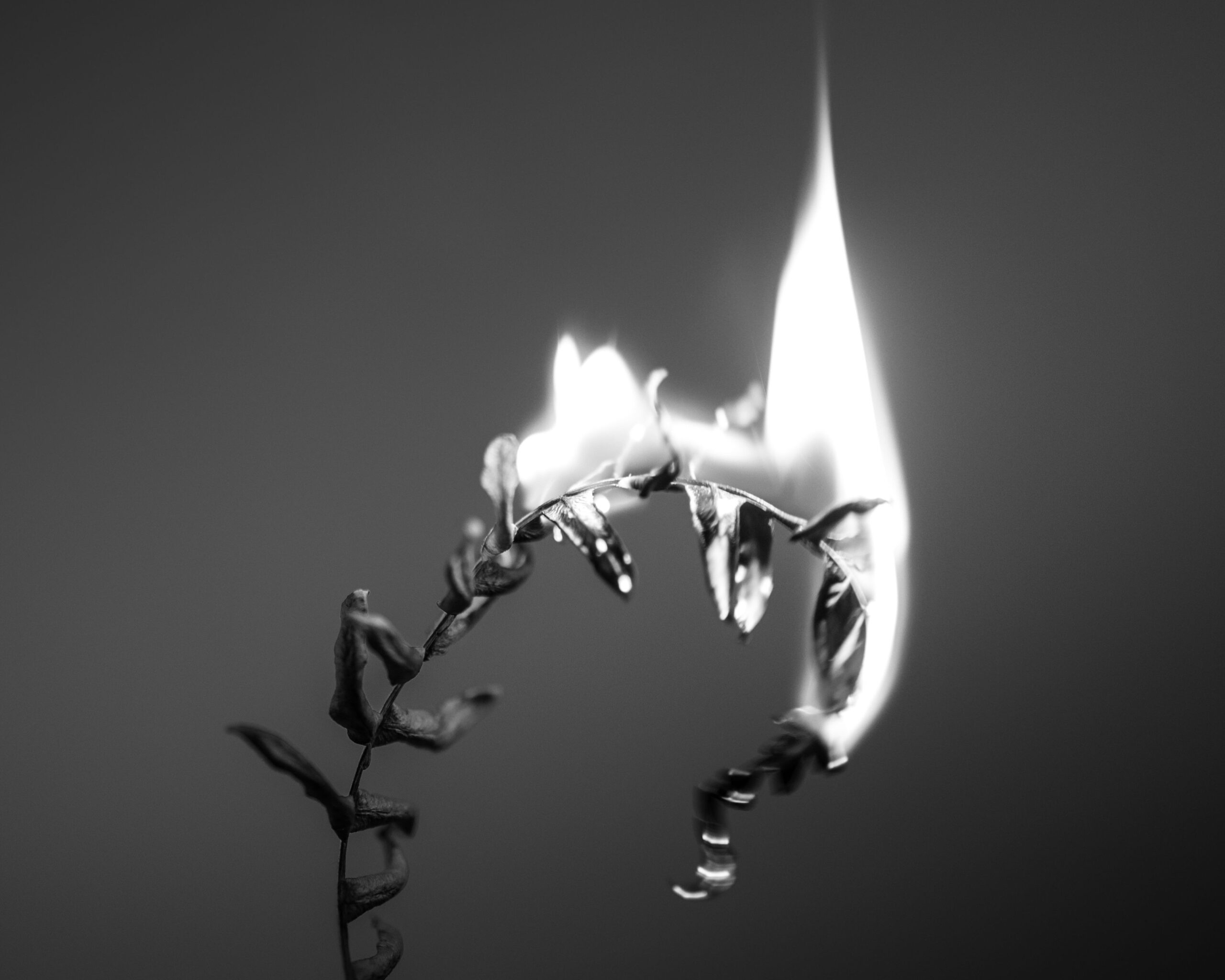 No longer human